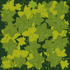 Image showing Much green foliages