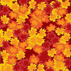 Image showing Autumn foliage background