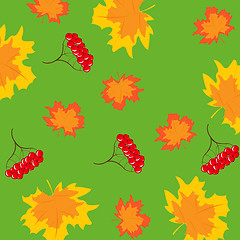 Image showing Pattern from berry and foliages