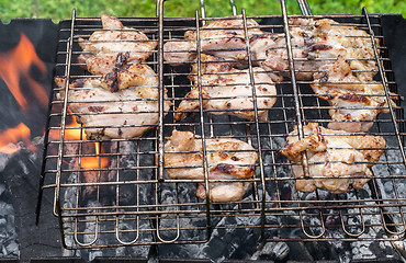 Image showing Chicken grilled on a coals