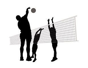 Image showing Men playing volleyball