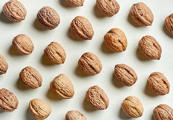 Image showing pattern of walnuts