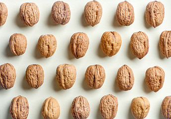 Image showing pattern of walnuts