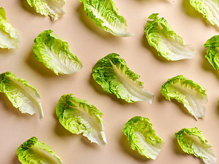 Image showing pattern of lettuce leaves
