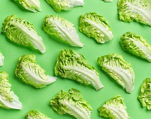 Image showing pattern of lettuce leaves