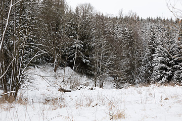 Image showing winter landscape Czech Highland