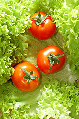 Image showing Fresh salad with tomatoes