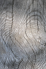 Image showing interesting texture of wood plank surface