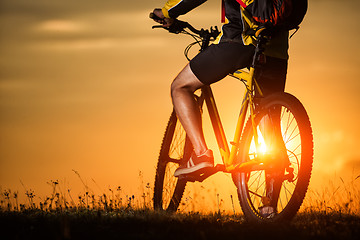 Image showing Sporty Man Riding a Bicycle on the Country Road.