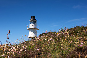 Image showing Scilly Isles, Great Britain