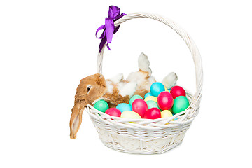 Image showing Beautiful domestic rabbit in basket with eggs