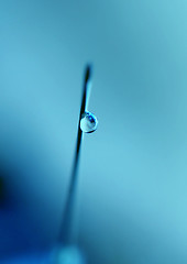 Image showing syringe close-up, focus on the drop