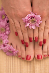 Image showing female feet and hands at spa salon