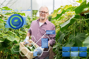 Image showing old man picking cucumbers up at farm greenhouse