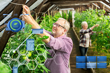 Image showing senior couple working at farm greenhouse