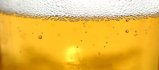 Image showing Glass of beer close-up with bubbles