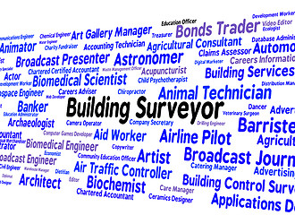 Image showing Building Surveyor Indicates Position Occupations And Hire