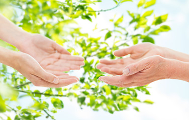 Image showing close up of senior and young woman hands