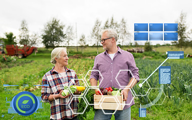 Image showing senior couple with box of vegetables on farm