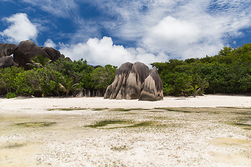 Image showing island beach in indian ocean on seychelles