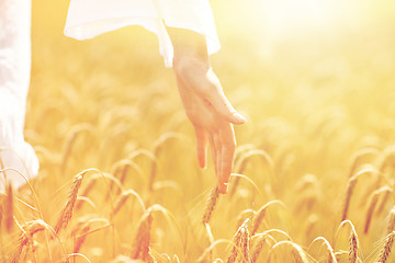 Image showing close up of woman hand in cereal field