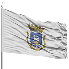 Image showing San Juan City Flag on Flagpole