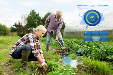 Image showing senior couple working in garden or at summer farm