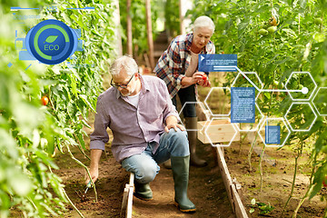 Image showing senior couple working at farm greenhouse