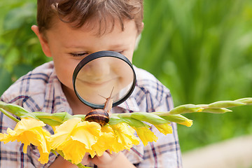 Image showing Happy little boy playing in the park with snail at the day time.