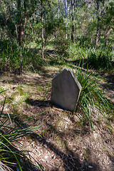 Image showing Gravestone