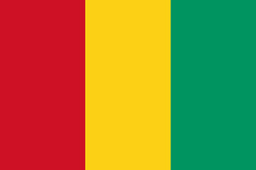 Image showing Colored flag of Guinea