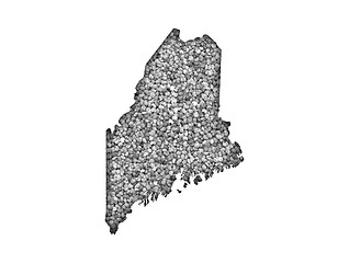 Image showing Map of Maine on poppy seeds