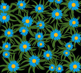 Image showing Blue flower on black