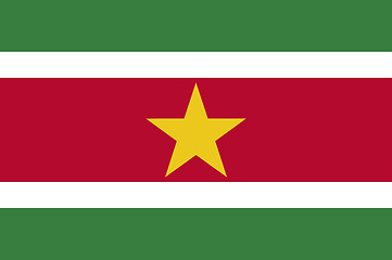 Image showing Colored flag of Suriname