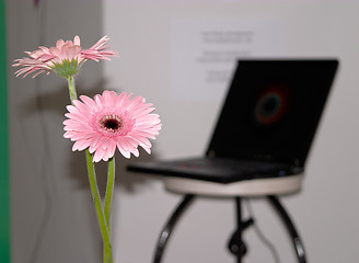 Image showing Put flowers in your computers