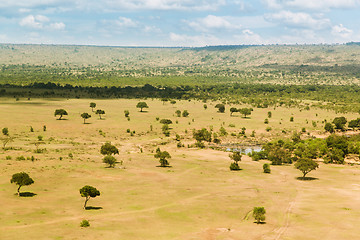 Image showing maasai mara national reserve savanna at africa