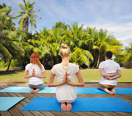 Image showing group of people making yoga exercises outdoors