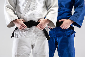 Image showing The two judokas fighters posing at studio