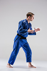 Image showing The one judokas fighter posing on gray