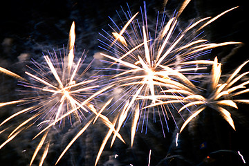 Image showing Fireworks in the night sky