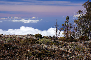 Image showing Hawaii, USA