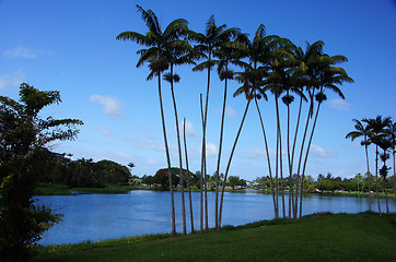 Image showing Hawaii, United States of America