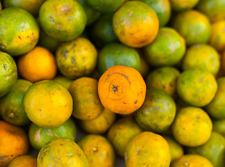 Image showing Green oranges