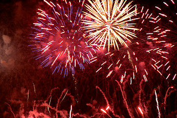 Image showing Fireworks in the night sky