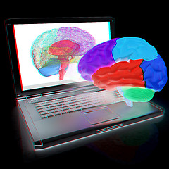 Image showing creative three-dimensional model of real human brain and scan on