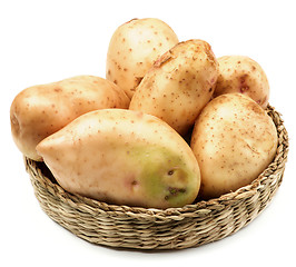 Image showing New Harvest Potato