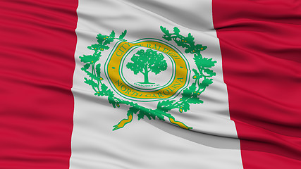 Image showing Closeup Raleigh Flag