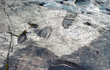 Image showing Petroglyphs On The Granite Coast