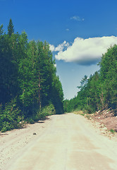 Image showing Dirt Road Through The Summer Forest