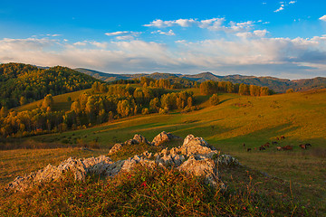 Image showing Beauty dawn in the mountains